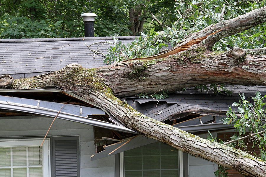 insurance claim